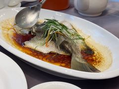 -东方御宴海鲜酒楼(棕泉酒店)
