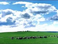 -希拉穆仁草原