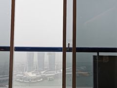 -新加坡瑞士史丹福酒店