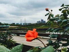 -白鹭湾湿地公园