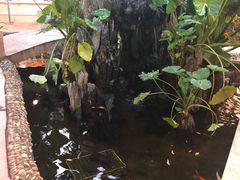 -荔城生鲜盛宴(番禺旗舰店)