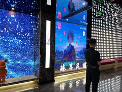 -臻享足道·HIFI影院足疗SPA(成华店)