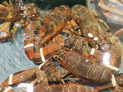 -龙宴海鲜城(经中路店)