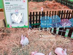 -IPARK购物中心