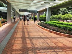 -香港大学