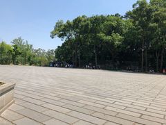 -峨眉山报国寺