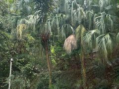 -厦门艾美酒店·新食谱西餐厅