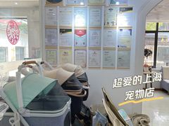 -翊宠yipet猫狗购宠庄园犬舍•猫舍