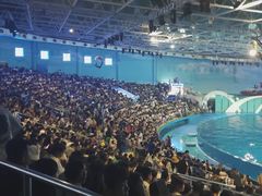 -海合安青岛极地海洋公园