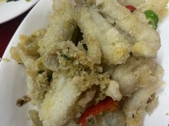 -蛇口康乐快餐鱼仔档(翠苑小区店)