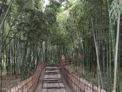 -乌镇东栅景区