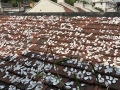 -普朗姆生蚝吧(原建国路店)