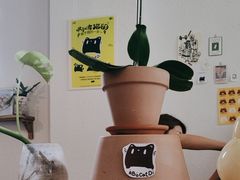 -ABCD咖啡屋(妇幼店)