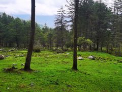 -硗碛藏寨·神木垒景区