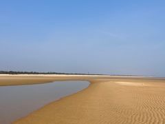 -日照海滨国家森林公园