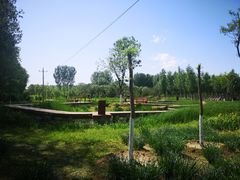 -东郊湿地公园