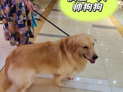 -茂业百货(东门店)