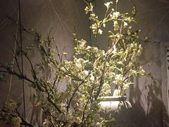 -仟汇足道·SPA(秀洲总店)