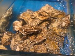 -火舞泰·泰式海鲜火锅餐厅(世纪城店)