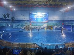 -多彩贵州城极地海洋世界