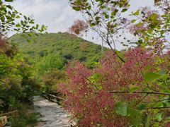 -周口店坡峰岭风景区