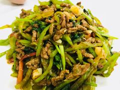 香菜炒牛肉丝-新新湘菜馆(新中街二条店)
