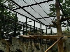 -石家庄市动物园