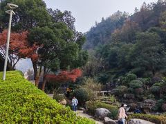 -桃花岭景区