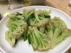 -联邦酒楼
