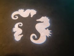 -沈阳海洋探索中心