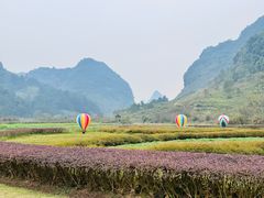 -靖西鹅泉风景区