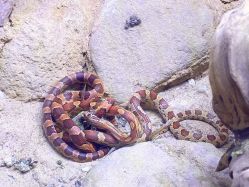 -酷嗒动物文化乐园(cutezoo西溪乐天城店)