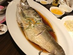 清蒸长江白鱼-黄嘉喜来登酒店-采悦轩中餐厅(滨江中路店)