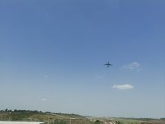 -空港花田景区