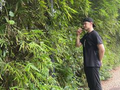 -燕晗山郊野公园