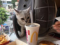 -麦当劳(中山大道中店)