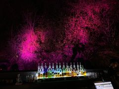 -Rock Bar Bali(Bali)