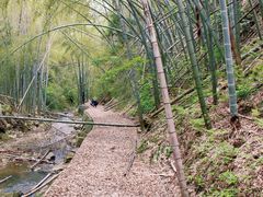 -万达广场(临港店)