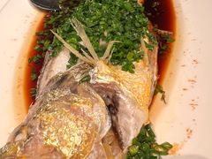 葱油大黄鱼-三利音·玖弄小鲜(浦东嘉里城店)