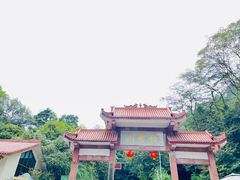 -缙云山景区