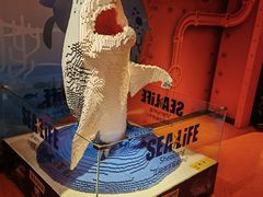 -沈阳海洋探索中心