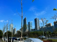 -天鹅湖体育公园