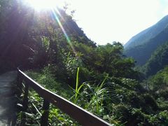 -太鲁阁公园