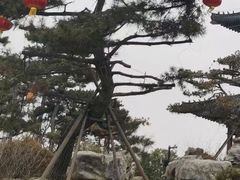 -南阳府衙