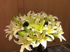 -长沙柏悦酒店
