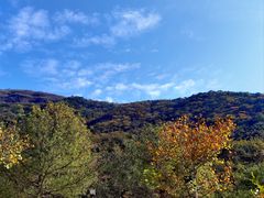 -北京十三陵国家森林公园蟒山景区