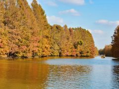 -上海海湾国家森林公园