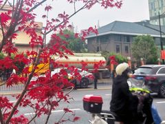 -同济大学(地铁站)