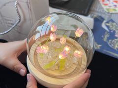 -奔驰上海利星(七宝店)