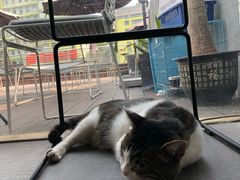 -UNI UNI(环亚凯瑟琳店)